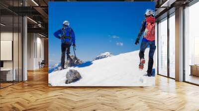 climber on the top of the alpine mountain Mala Mojstrovka against the backdrop of snowy alps  Wall mural