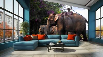 working agricultural elephant with back passenger structure Wall mural