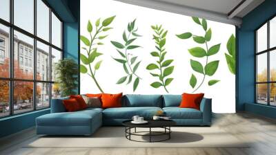 vector designer elements set collection of green forest fern, tropical green eucalyptus greenery art Wall mural