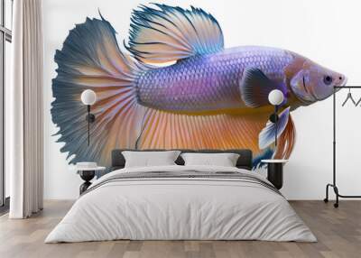 Betta fish, Siamese fighting fish, Outline, Transparent Background, Generative AI Wall mural