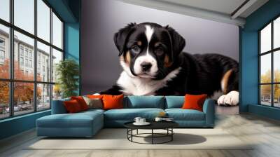 black and white puppy on a gray background Wall mural