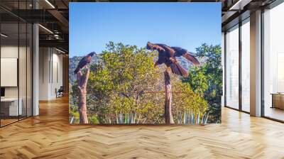 Two vultures on a fence on the side of a road between mountains in a tropical forest in Santa María del Oro Nayarit Wall mural