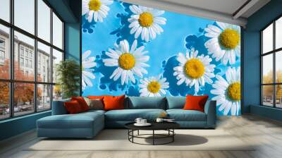 Chamomile flowers on a blue water background with concentric circles from a drop. Top view Flat lay. Banner Wall mural