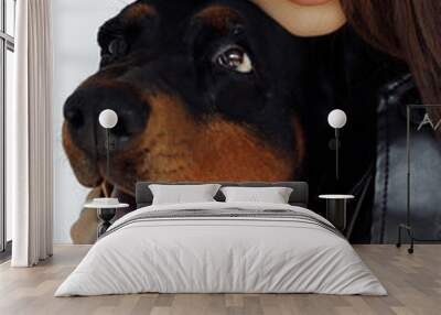 Close-up photo portrait of young girl hugging black doberman dog closed eyes on white color background Wall mural