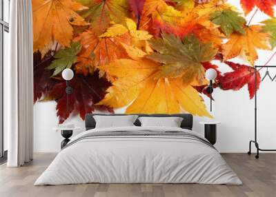 Autumn colorful leaves isolated on white. Background Wall mural