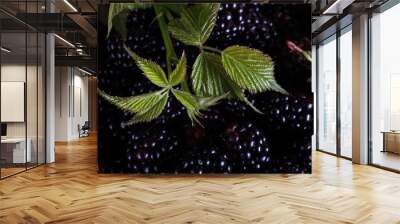 Blackberry background Wall mural