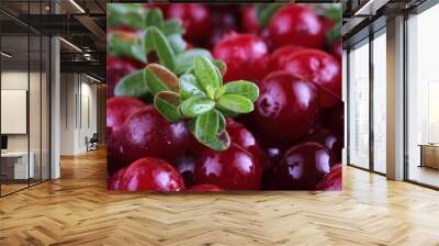 Cranberry background Wall mural