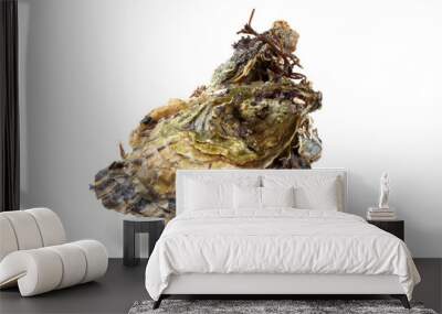 Oyster Wall mural