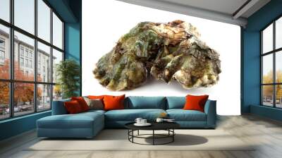 Oysters Wall mural