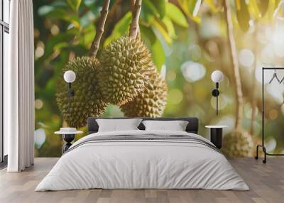 durians on branch Wall mural