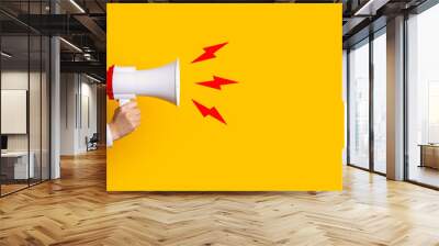 female hand holds a megaphone on a yellow background, added picture sound Wall mural