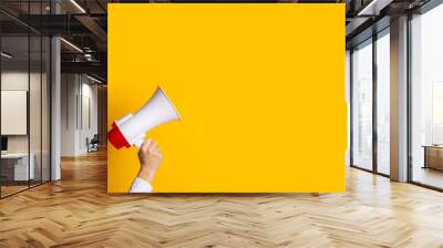 female hand holds a white with a red megaphone on a yellow background. Wall mural