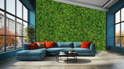 forest view from above Wall mural