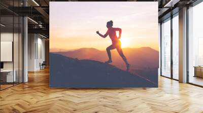 Athletic girl finishes a run in the mountains at sunset. Sport tight clothes. Intentional motion blur. Wall mural