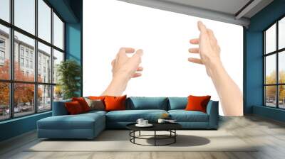 Gestures topic: human hand gestures showing first-person view isolated on white background in studio Wall mural