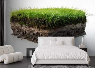 Grass with soil layer Wall mural