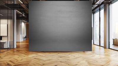 Gray Background studio portrait backdrops Wall mural