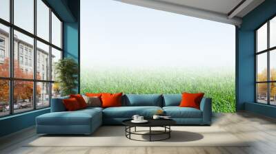 green grass and blue sky Wall mural