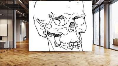 Hand drawn pen and ink study of the human skull - vectorised in PS Wall mural