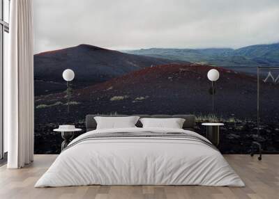 Iceland volcanic lava field with red minerals and grassy patches and mountains in the background Wall mural