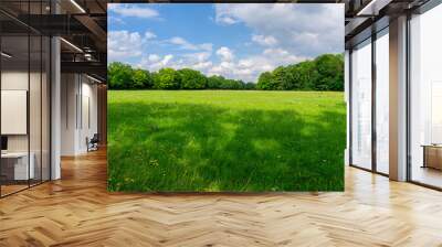 Image of beautiful green meadow with flowers and forest in the background Wall mural