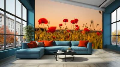 Image of huge poppy field during sunset Wall mural