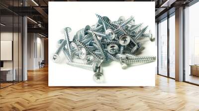 Tapping screws made of steel, metal screw, iron screw, chrome screw, screws as a background, wood screw. Isolated on white background. Wall mural