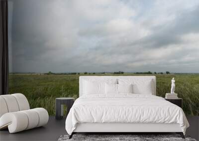 Beautiful wheat field vista in Western Oklahoma in springtime  Wall mural