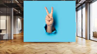 Male hand makes a two fingers up greeting gesture on a blue background. Banner Wall mural