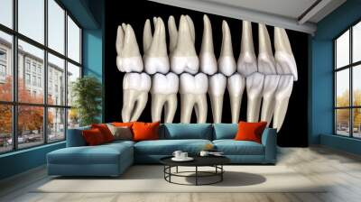 Healthy human teeth with normal occlusion from inside view. 3D Illustration Wall mural