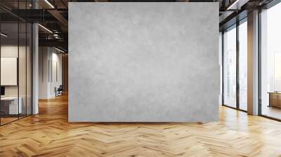 Photo background. textured wall  Gray Background studio portrait backdrops Wall mural