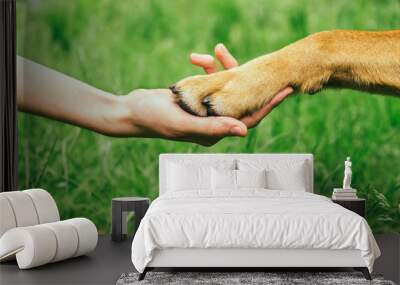 Dog paw and human hand are doing handshake Wall mural