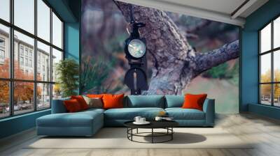 Travel compass on tree Wall mural