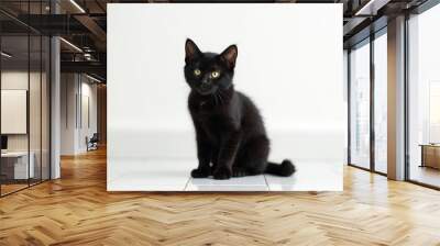 Full body Portrait of adorable black cat sitting alone surrounded by a white background providing ample copy space for an image. Kitty isolated in white studio with white floor and wall Wall mural