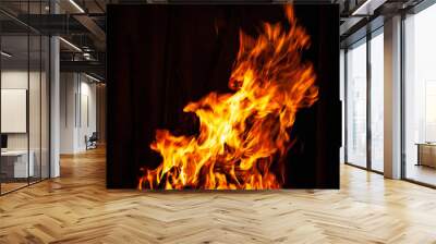 Fire flame on a dark background. Fire burning at night. A fire in the grill, fireplace and hearth. Wall mural