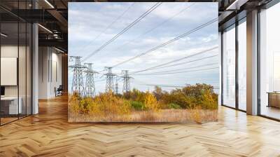 High voltage power line. Pylons of a high voltage line, landscape in cloudy weather. Wall mural