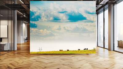 Livestock fields and rain clouds in southern Brazil Wall mural