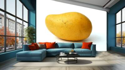 Ripe Mango, Wall mural