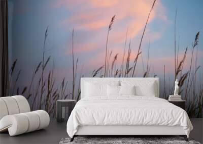 Abstract background with grass and cloud evening sky Wall mural