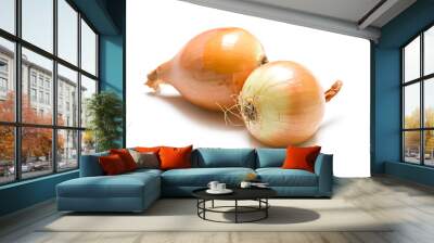 two yellow onions Wall mural