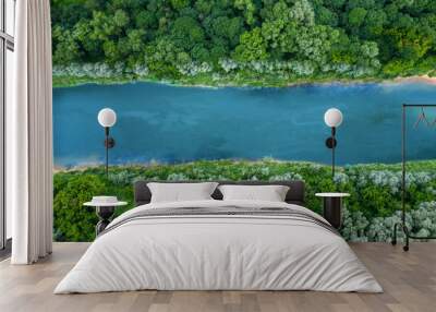 top view of summer green trees with a river Wall mural