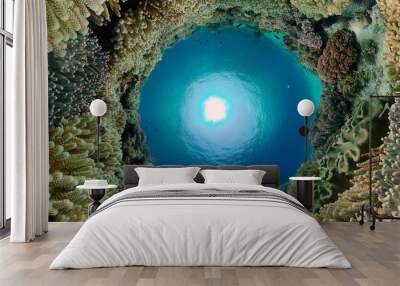 Beautiful underwater world with coral reef and tropical fishes. Philippines. Travel vacation concept Wall mural