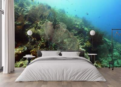 coral reef and tropical fish. underwater world diving and snorkeling on coral reef. Hard and soft corals underwater landscape Wall mural