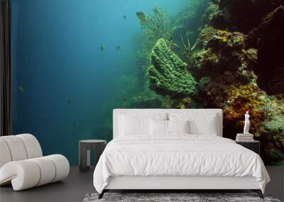 tropical fish and coral reef underwater world diving and snorkeling on coral reef. Hard and soft corals underwater landscape Wall mural