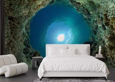 Tropical sea and coral reef. Underwater Fish and Coral Garden. Underwater sea fish. Tropical reef marine. Colourful underwater seascape. Philippines. Wall mural