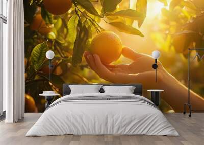 Vibrant Orange Harvest: A Hand Reaches for Sun-Kissed Fruit Among Lush Leaves — Perfect for Brightening Up Sports Interiors or Cheerful Environments! Wall mural