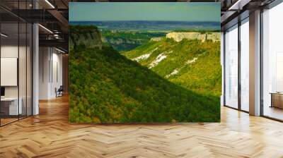 view of landscape Wall mural