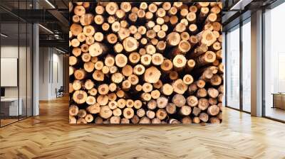 Log trunks pile sawn trees, cut trees along prepared for removal. Wood logs outdoors background stack in industrial plywood factory full frame. Logging timber wood industry concept. Copy ad text space Wall mural