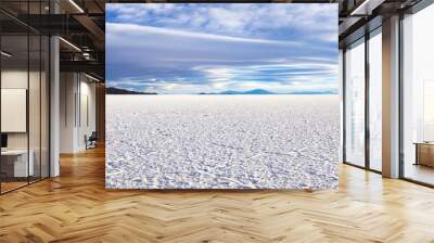 Panoramic landscape photo of wild nature salt flat with mountains, backgrounds. Scenery view of Bolivia natural salt desert wilderness, no people. Bolivian landmarks concept. Copy ad text space Wall mural