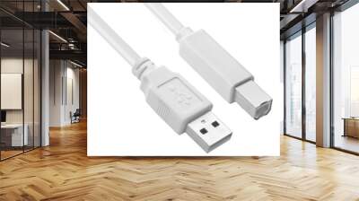 white Am-Bm usb cable and connectors to connect the printer Wall mural